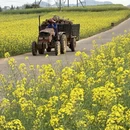 普洱旅游 缩略图 7