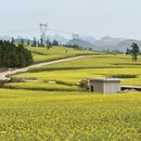 普洱旅游 缩略图 4