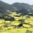 普洱旅游 缩略图 14