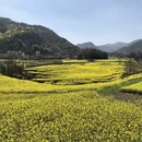 普洱旅游 缩略图 16