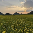 普洱旅游 缩略图 12