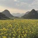 普洱旅游 缩略图 11