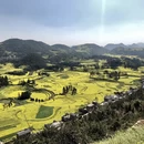 普洱旅游 缩略图 15