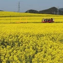 昆明旅游 缩略图 5
