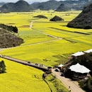 昆明旅游 缩略图 6