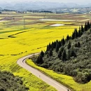 昆明旅游 缩略图 7