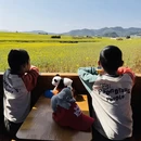 昆明旅游 缩略图 15