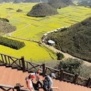 昆明旅游 缩略图 9