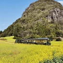 昆明旅游 缩略图 12