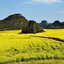 昆明旅游 缩略图 16