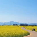 昆明旅游 缩略图 4