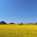 昆明旅游 缩略图 3