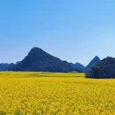 昆明旅游 缩略图 1