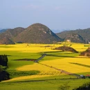 昆明旅游 缩略图 5