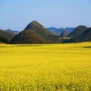 昆明旅游 缩略图 4