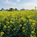 昆明旅游 缩略图 18