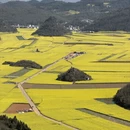 昆明旅游 缩略图 5
