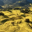 昆明旅游 缩略图 12