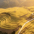昆明旅游 缩略图 10