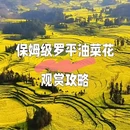 昆明旅游 缩略图 1