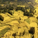 昆明旅游 缩略图 11