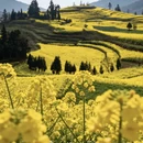昆明旅游 缩略图 18