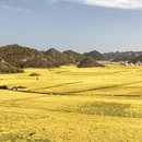 昆明旅游 缩略图 14