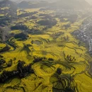 文山州旅游 缩略图 1