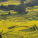 遵义旅游 缩略图 1