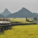 遵义旅游 缩略图 6
