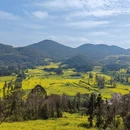遵义旅游 缩略图 2