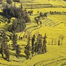 昆明旅游 缩略图 1