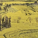 昆明旅游 缩略图 2