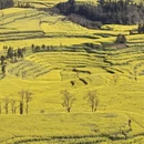 昆明旅游 缩略图 7