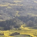 昆明旅游 缩略图 6
