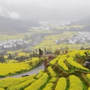 黄山旅游 缩略图 11