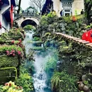 黄山旅游 缩略图 11