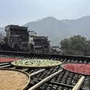 黄山旅游 缩略图 2