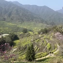 黄山旅游 缩略图 5