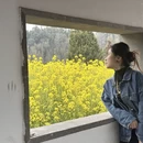 黄山旅游 缩略图 2