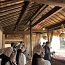 黄山旅游 缩略图 6