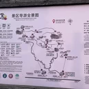 黄山旅游 缩略图 3