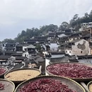 黄山旅游 缩略图 5