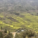 黄山旅游 缩略图 4