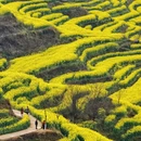 黄山旅游 缩略图 1