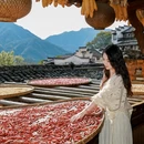 黄山旅游 缩略图 10