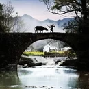 黄山旅游 缩略图 6