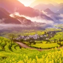 黄山旅游 缩略图 9