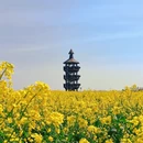 泰州旅游 缩略图 3