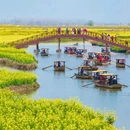 泰州旅游 缩略图 1